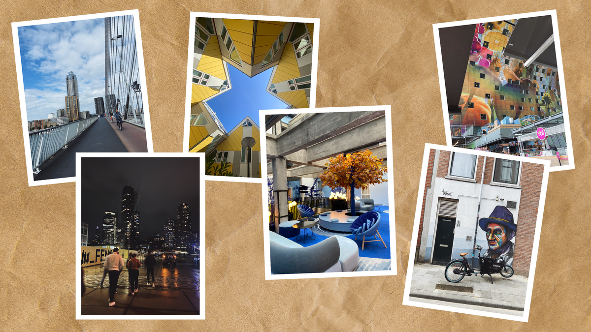 rotterdam, more than just a city of trade and transaction