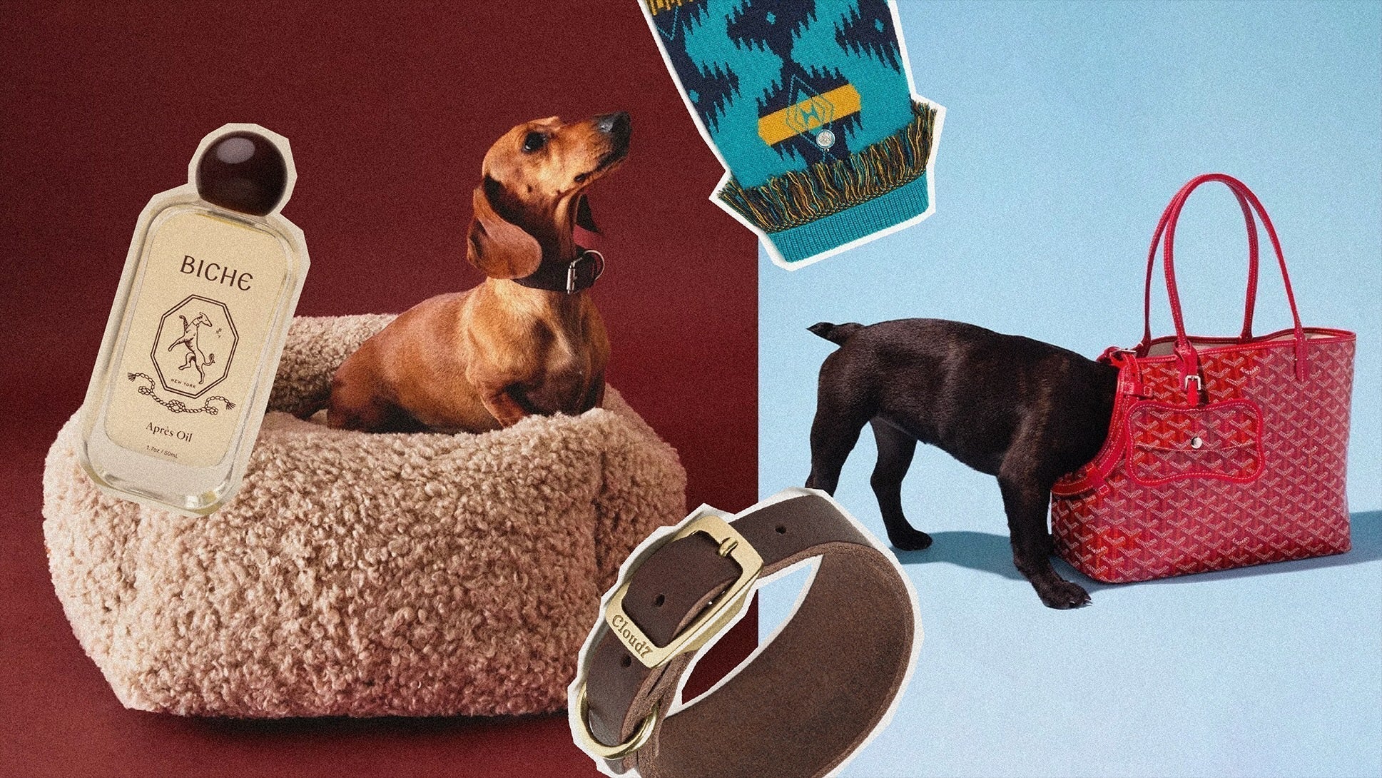 Luxury pet accessories - elevated dog collar and custom jewelry pieces