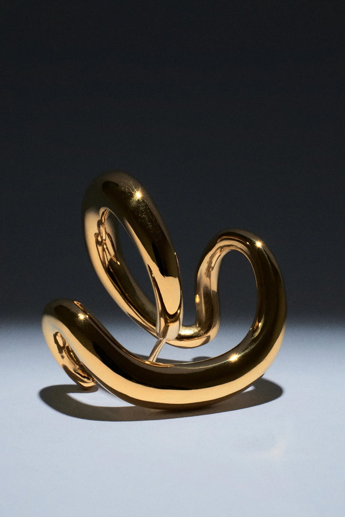 Sterling silver earrings and rings on white background