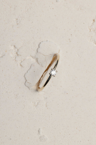 CEREREA ÎN CĂSĂTORIE