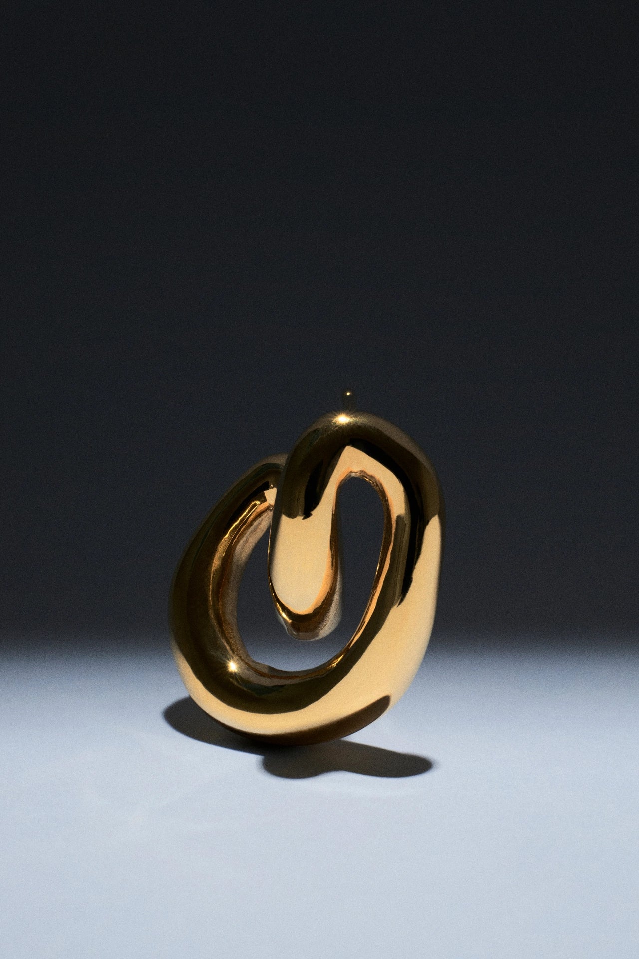 Luna Spiral Earrings Earrings