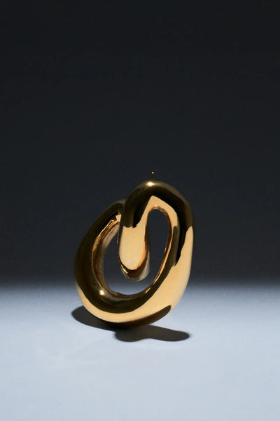 Luna Spiral Earrings Earrings